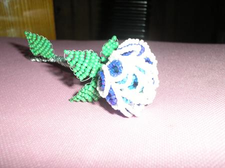 une rose bleu clair, blanc et bleu foncé
