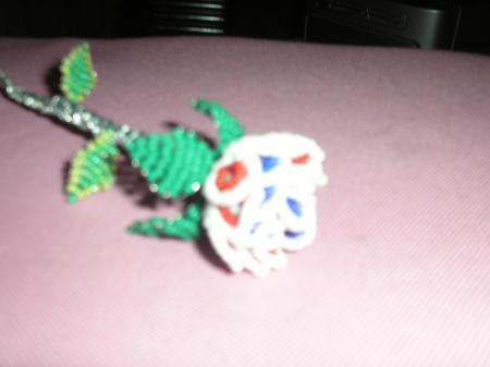 ma rose bleu, rouge et blanche