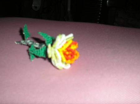 une rose avec des couleurs très vif