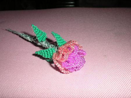 ma rose vif